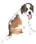 [Saint puppy]