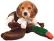 [Beagle]