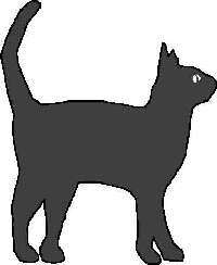 [Gato]